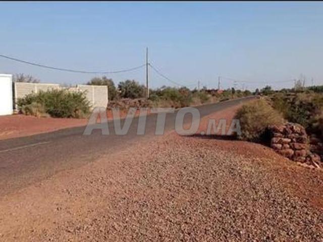 Propriété vente à Oued ed Dahab-Lagouira