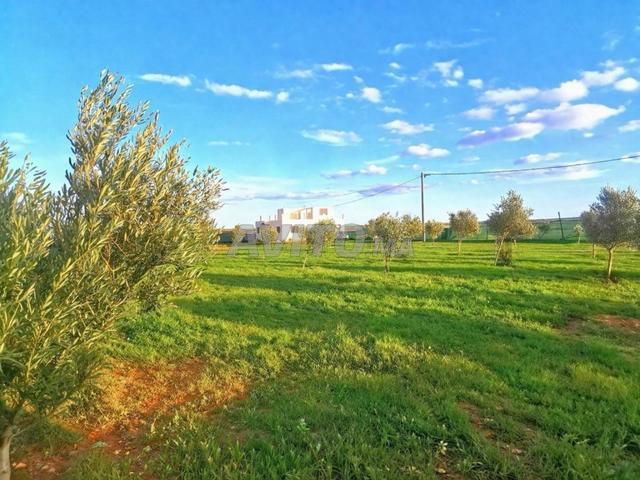 Propriété vente à El Ma, Gharb-Chrarda-Beni Hssen