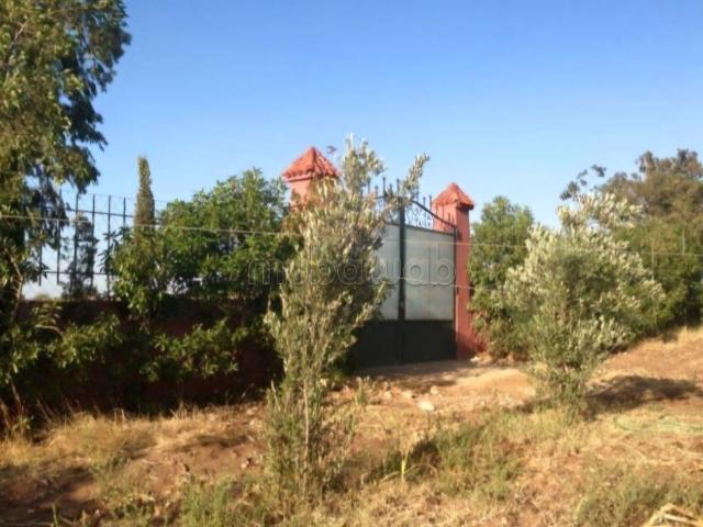 Ferme vente à El Ma, Gharb-Chrarda-Beni Hssen