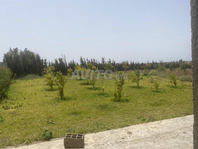 Propriété vente à El Ma, Gharb-Chrarda-Beni Hssen
