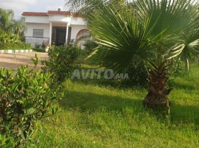 Propriété vente à Gharb-Chrarda-Beni Hssen
