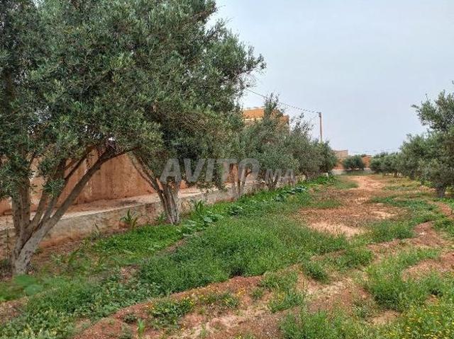 Propriété vente à Agadir, Oued ed Dahab-Lagouira