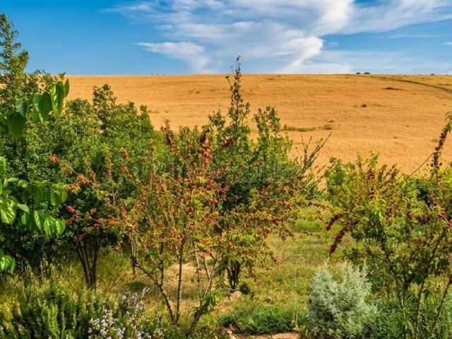 Ferme vente à Salé