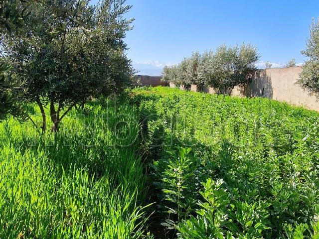 Ferme vente à Al Haouz, L'Oriental