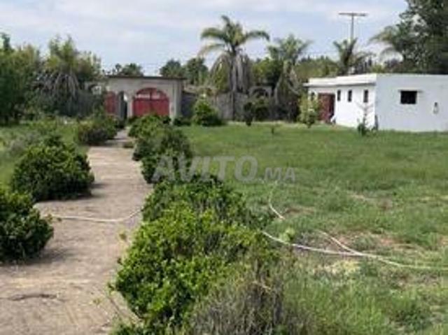 Propriété vente à Sidi Allal El Bahraoui