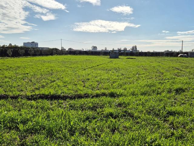 Ferme vente à Gharb-Chrarda-Beni Hssen
