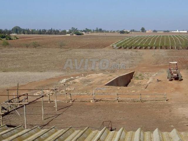 Propriété vente à Slimane, Gharb-Chrarda-Beni Hssen