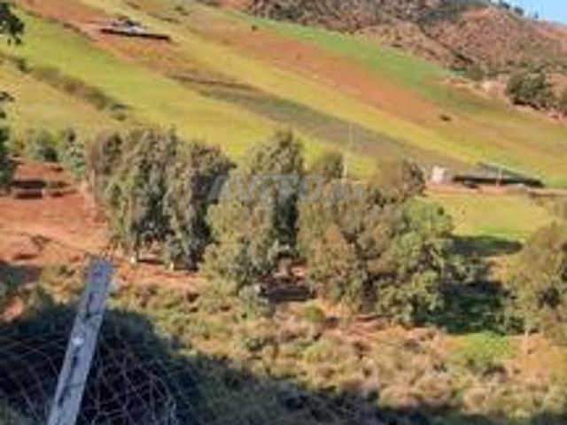 Propriété vente à Slimane, Gharb-Chrarda-Beni Hssen