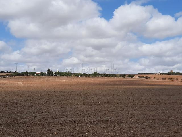 Ferme vente à Gharb-Chrarda-Beni Hssen