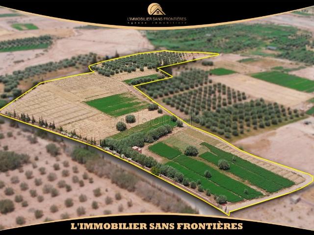 Ferme vente à Marrakech, L'Oriental