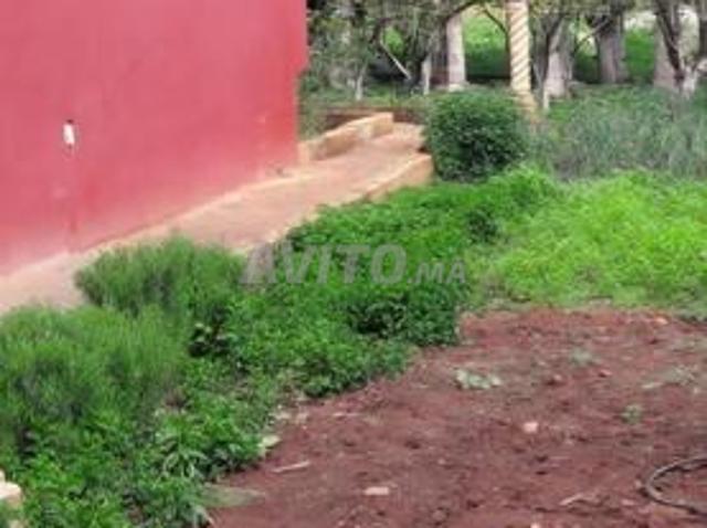 Propriété vente à El Ma, Gharb-Chrarda-Beni Hssen