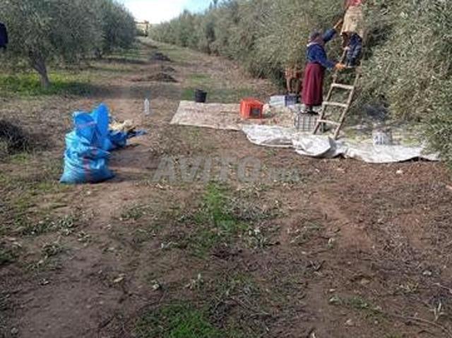 Propriété vente à Anfa, Gharb-Chrarda-Beni Hssen