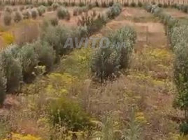 Propriété vente à Settat, Gharb-Chrarda-Beni Hssen