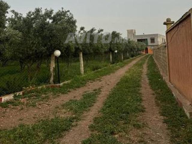Propriété vente à Berrechid, Gharb-Chrarda-Beni Hssen
