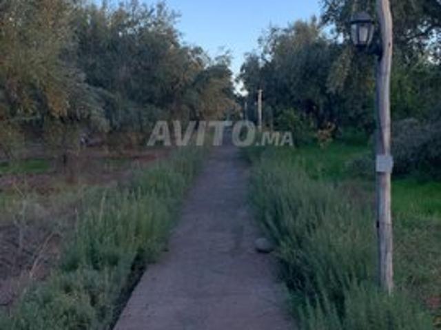 Propriété vente à Marrakech, L'Oriental