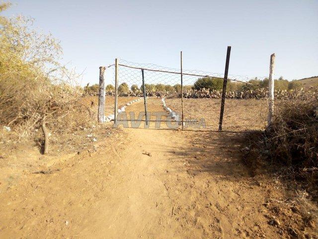 Propriété vente à El Ma, Gharb-Chrarda-Beni Hssen
