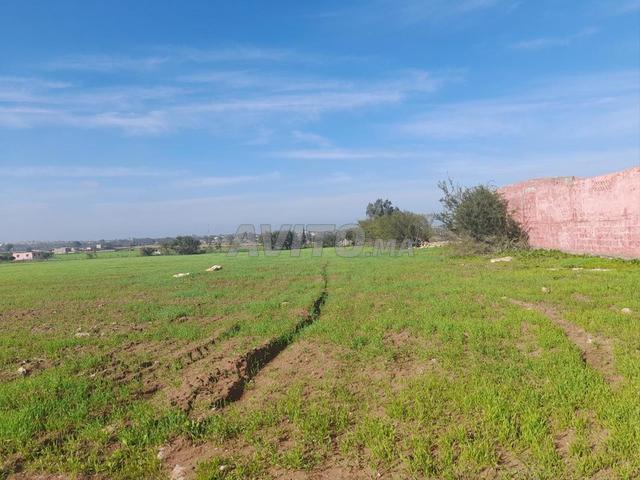 Propriété vente à El Ma, Gharb-Chrarda-Beni Hssen