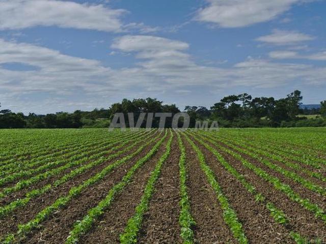 Propriété vente à Azrou