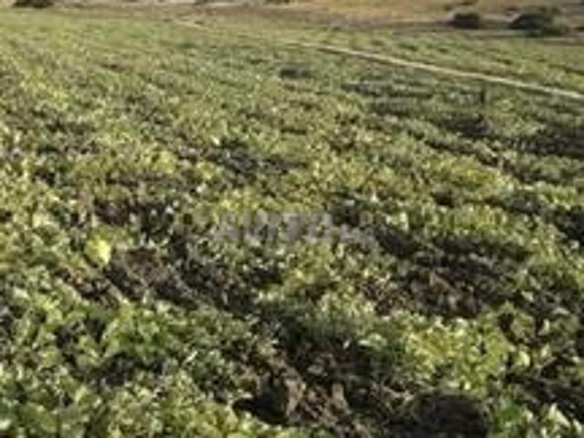 Propriété vente à Tangero, Tanger-Tétouan