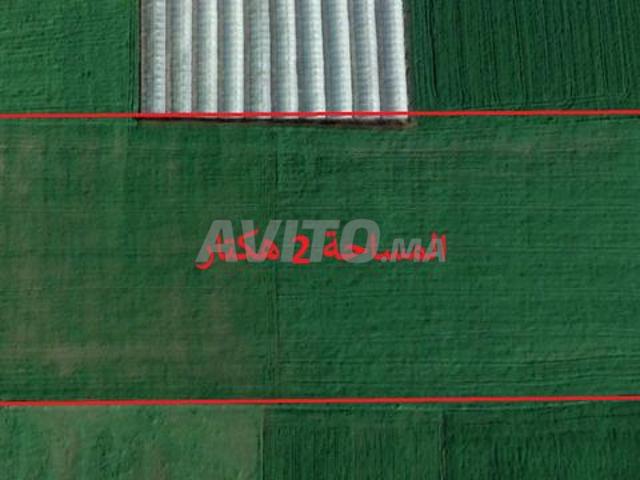 Propriété vente à El Ma, Gharb-Chrarda-Beni Hssen