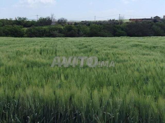 Propriété vente à El Ma, Gharb-Chrarda-Beni Hssen