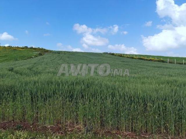 Propriété vente à El Ma, Gharb-Chrarda-Beni Hssen