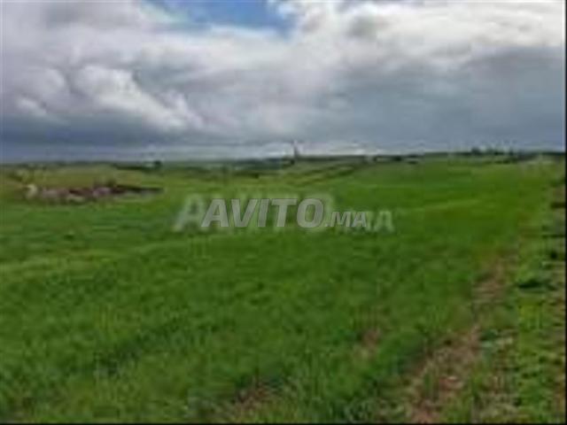 Propriété vente à El Ma, Gharb-Chrarda-Beni Hssen