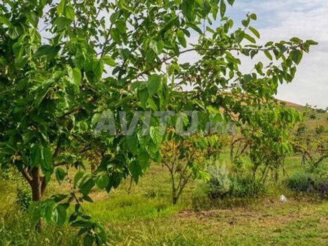 Propriété vente à Salé