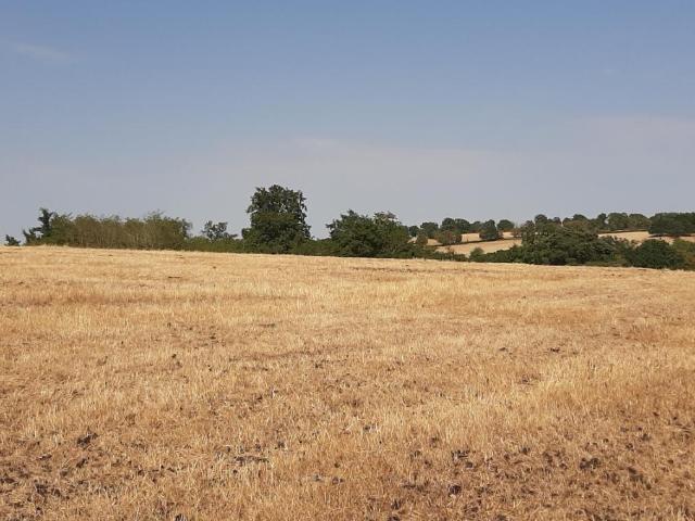 Ferme vente à Charolles, La Motte-saint-jean