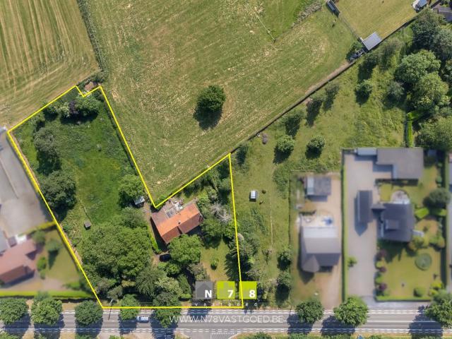 Ferme vente à Maaseik, Limburg