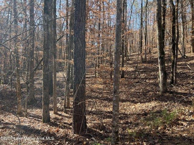 Land for sale in Tallapoosa, Alabama