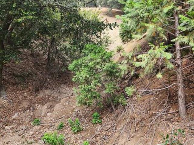 Land for sale in Cedarpines Park, California