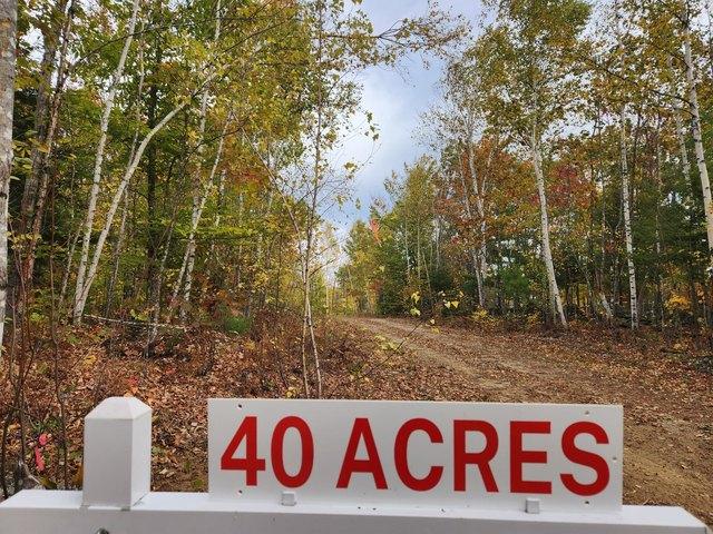 Land for sale in Buckfield, Maine