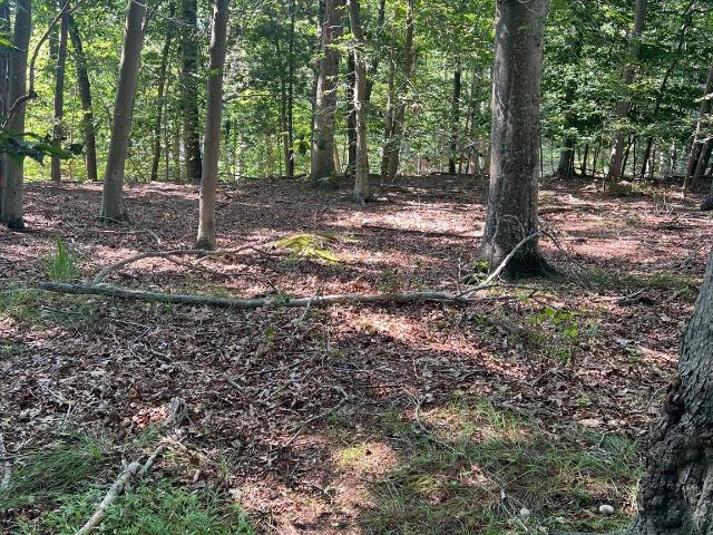 Land for sale in Calverton, New York
