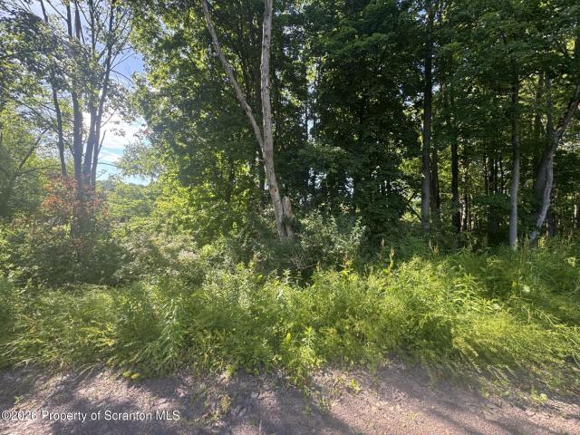 Land for sale in Clarks Summit, Pennsylvania