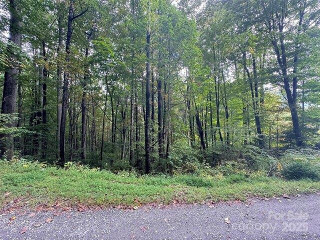 Land for sale in Haywood, North Carolina