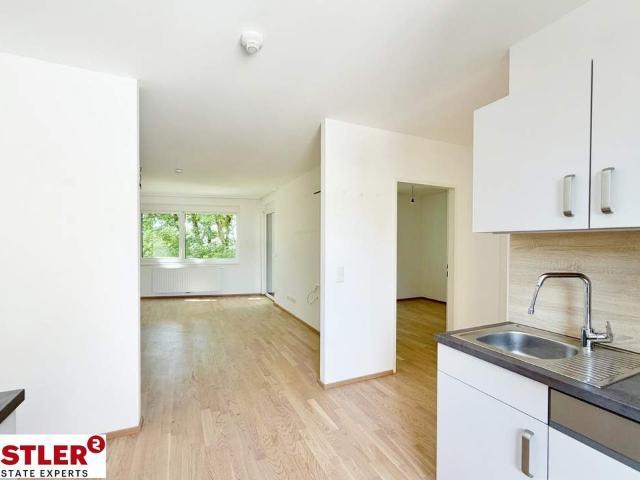 Wohnung mieten in Baden, Niederösterreich