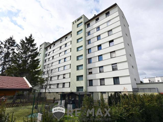 Apartment kaufen in Wiener Neudorf, Niederösterreich