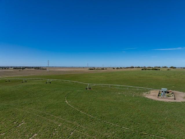 Acreage for sale in Lochaber, South Australia