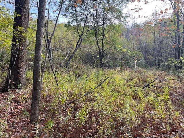 Land for sale in Claryville, New York
