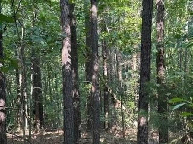 Land for sale in Millport, Alabama