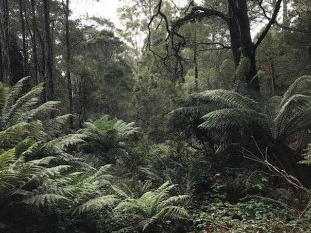Land for sale in Rosebery, Tasmania