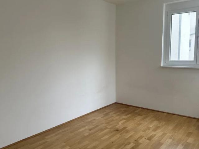 Apartment mieten in Brunn am Gebirge