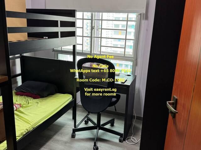 Room for rent