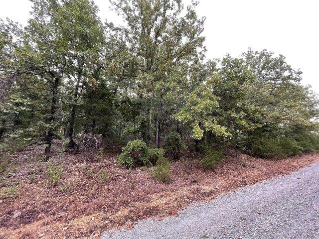 Land for sale in Theodosia, Missouri
