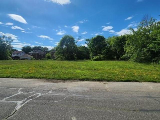 Land for sale in Detroit