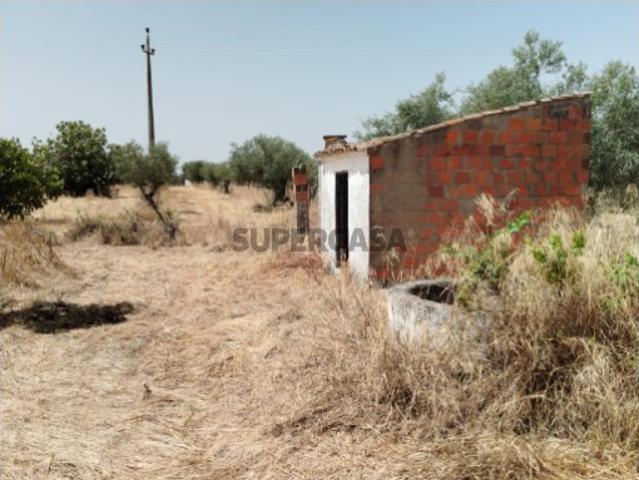 Terreno venda em Reguengos De Monsaraz, Évora