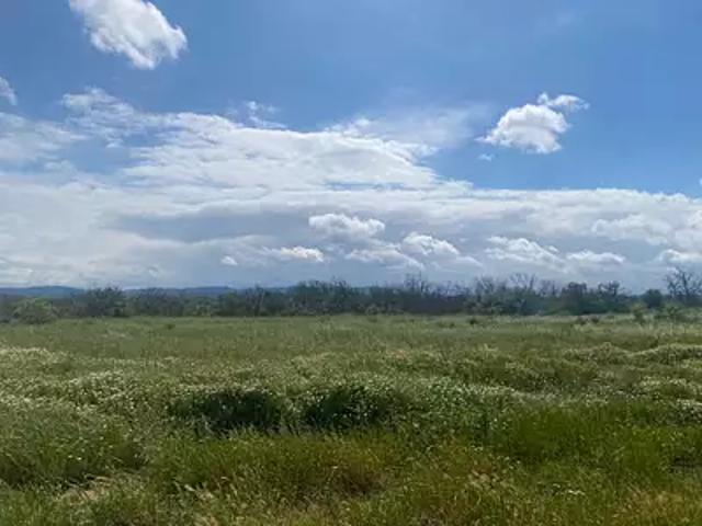Terrain vente à Narbonne, Ferrals-les-corbières