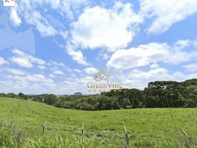 Sítio e chácara venda em Ferraria, Campo Largo