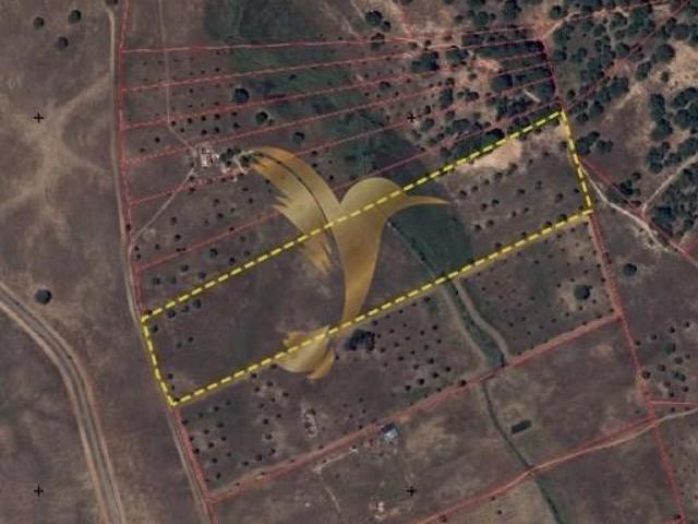 Terreno venda em Ferreira Do Alentejo, Beja